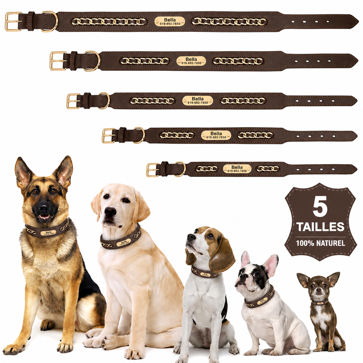 Collier Cuir Chien Personnalisé
