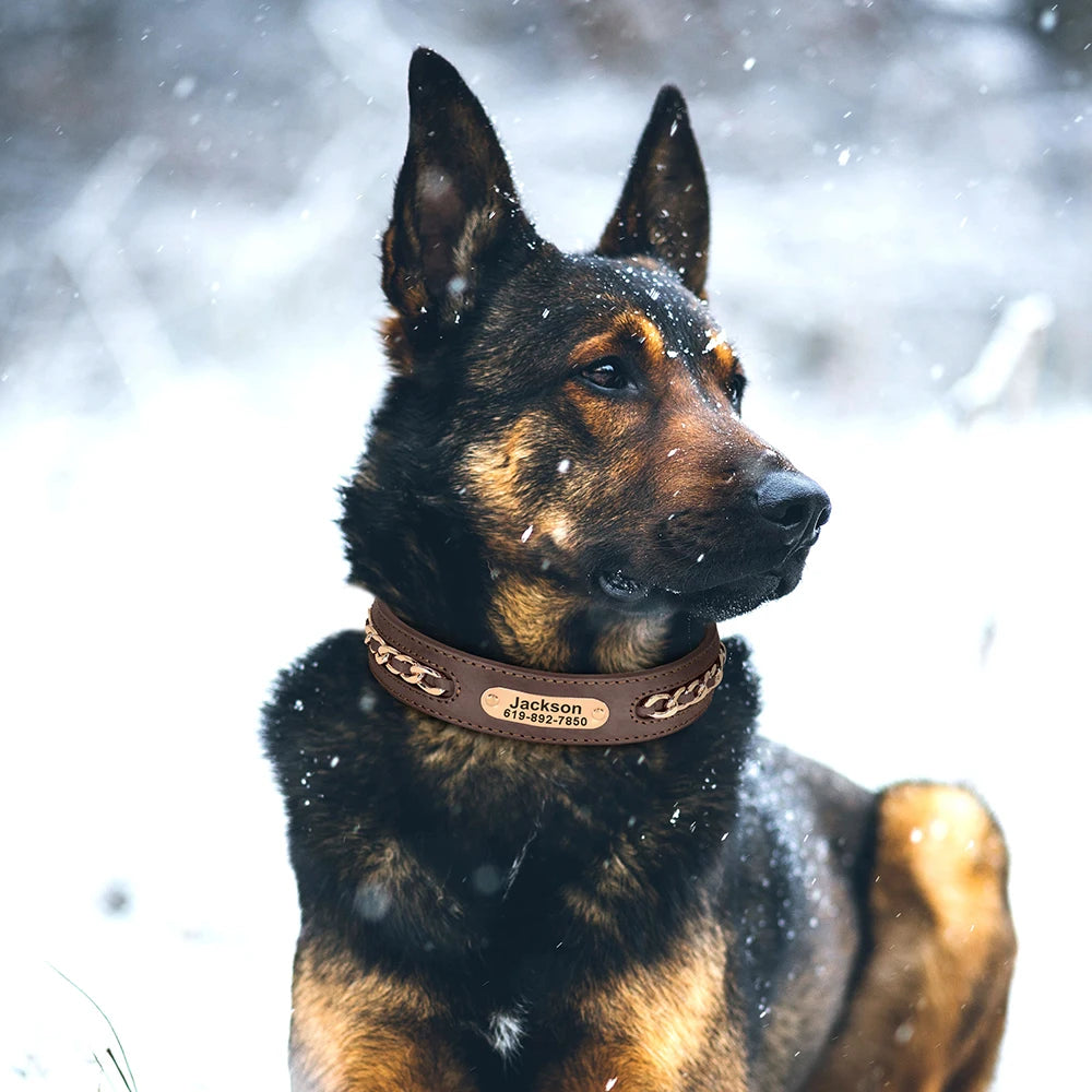 Collier Cuir Chien Personnalisé