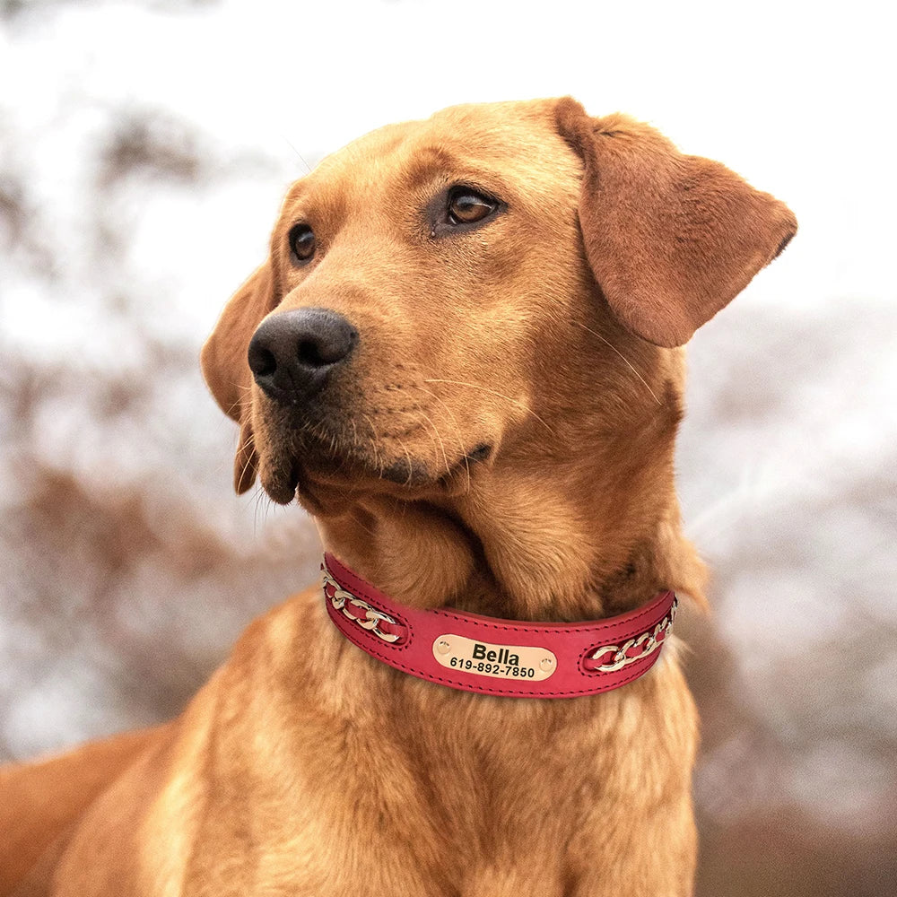 Collier Cuir Chien Personnalisé