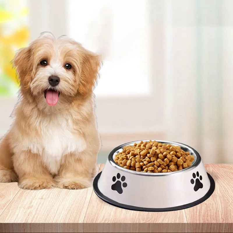 Gamelle Chien Inox