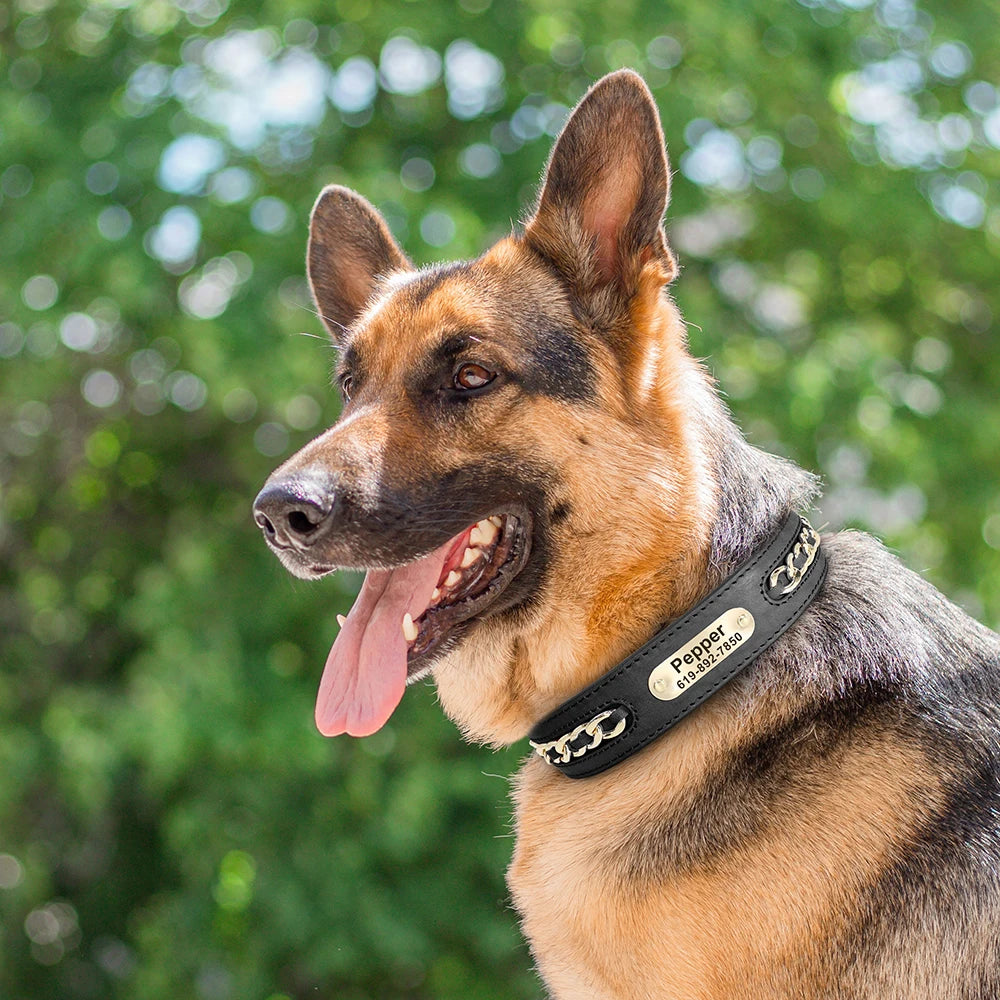 Collier Cuir Chien Personnalisé