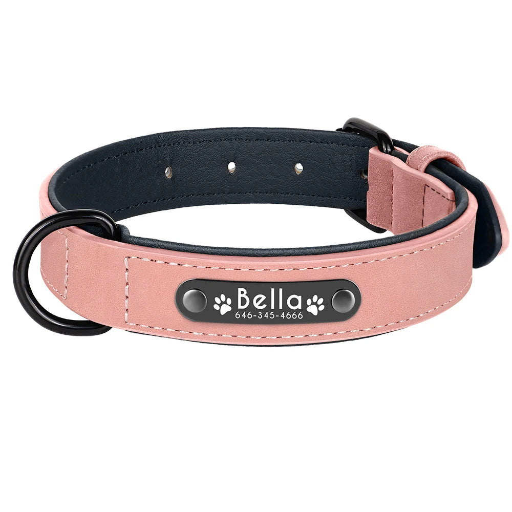 Colliers Personnalisés pour Chiens