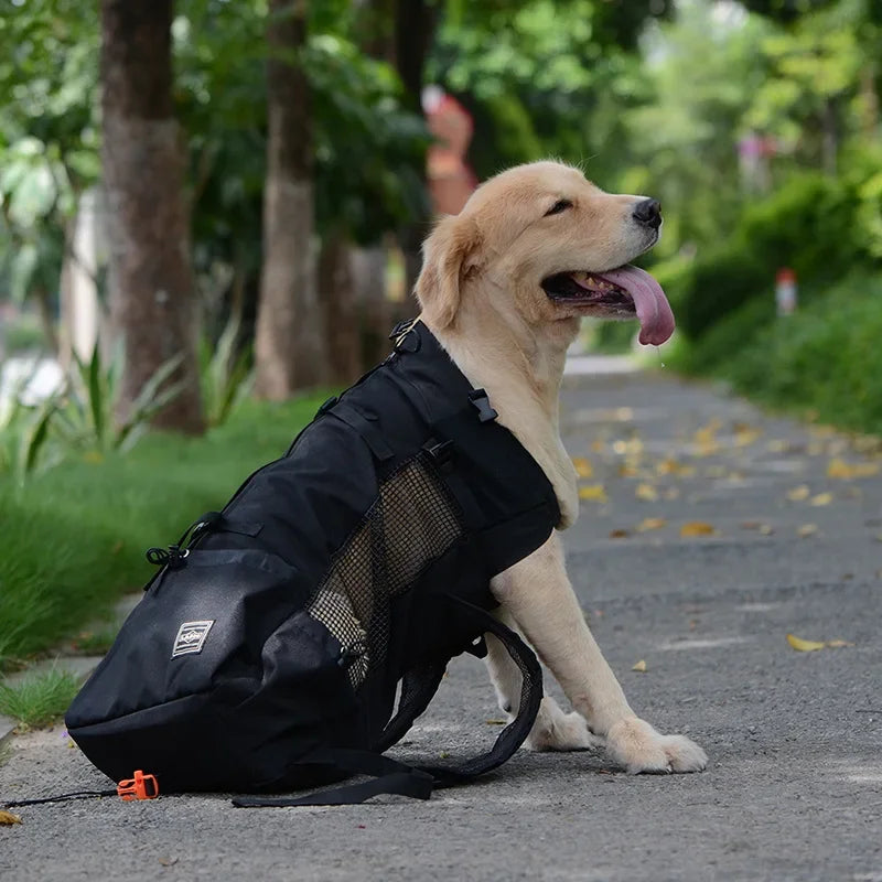 Sac a Dos pour Transporter un Chien