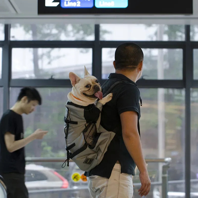 Sac a Dos pour Transporter un Chien