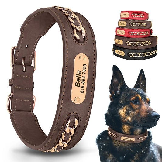 Collier Cuir Chien Personnalisé